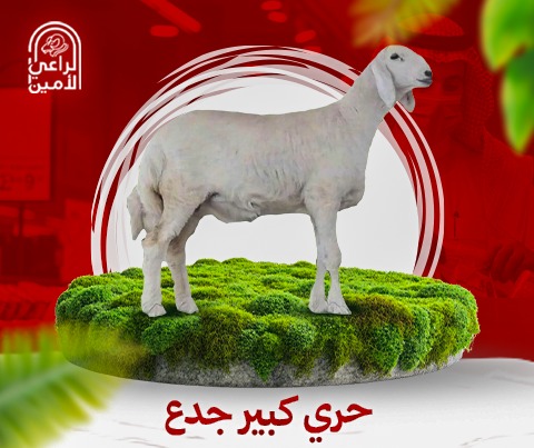 حري جذع كبير