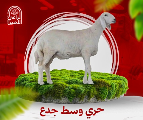 حري جذع وسط