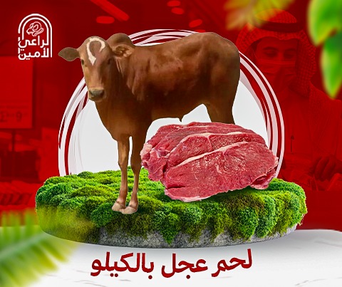 لحم عجل صغير