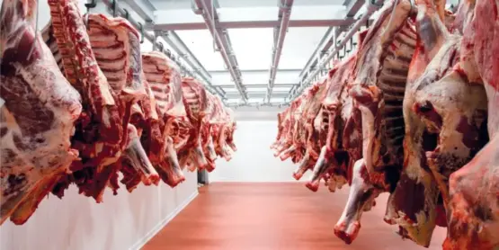 حفظ اللحم في الثلاجة للحفاظ على الطراوة والجودة