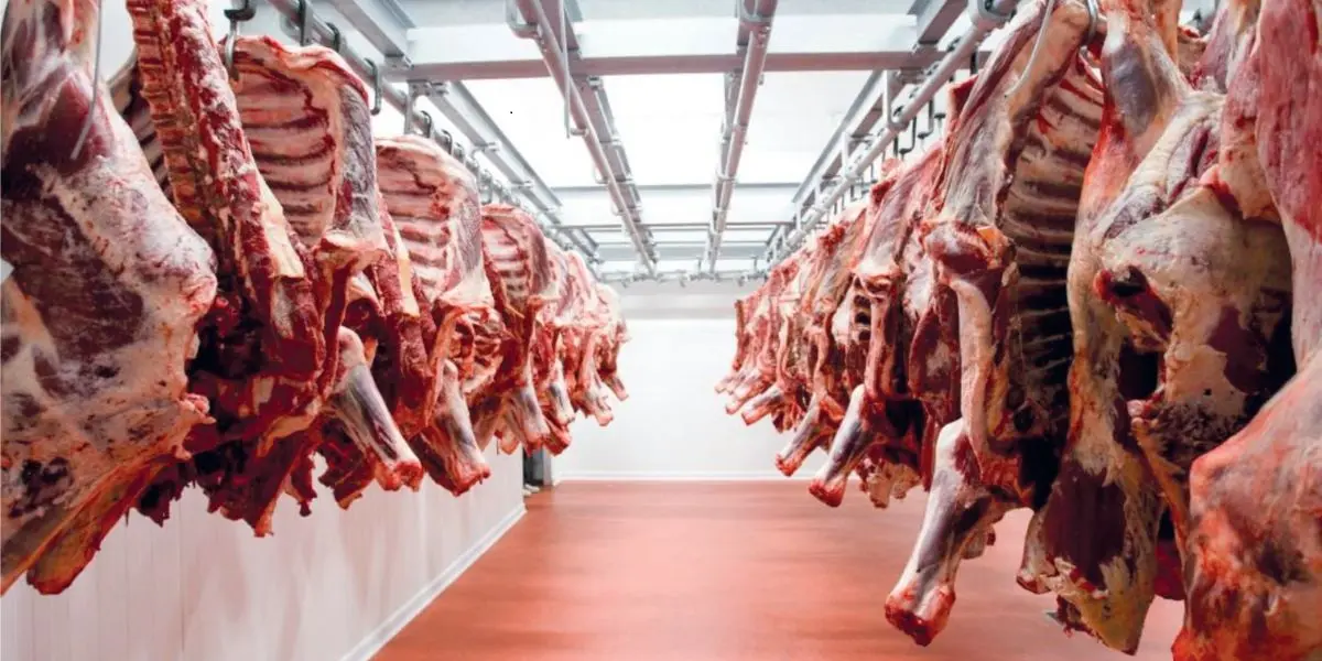 حفظ اللحم في الثلاجة