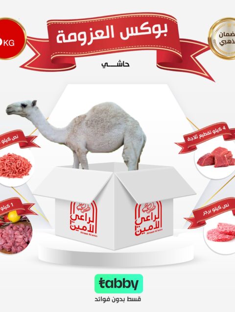 بوكس العزومة