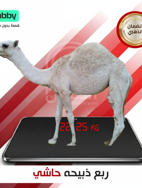 ربع حاشي ٢٣ كيلو