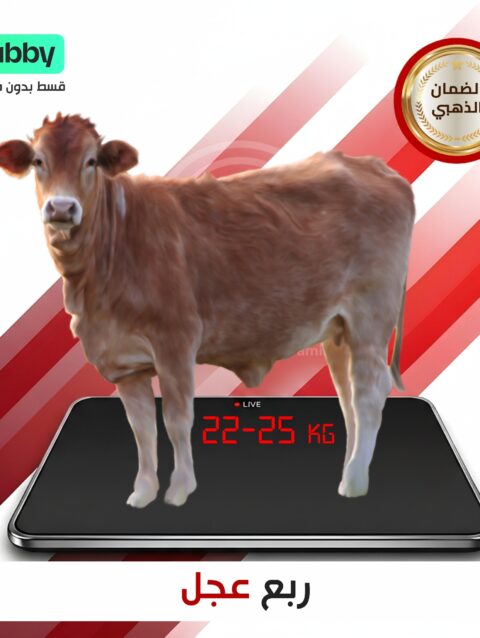 ربع عجل ٢٠ كيلو