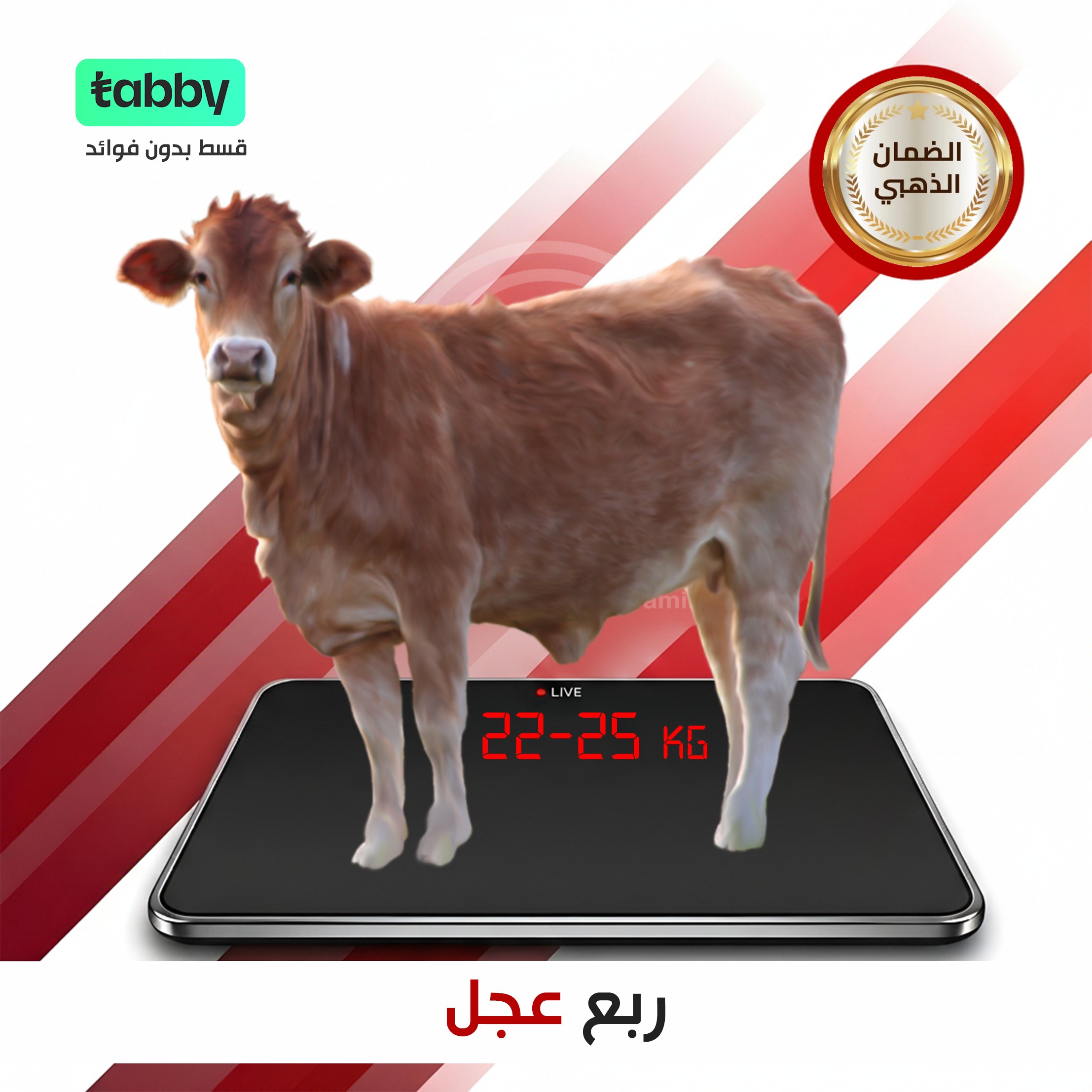 ربع عجل ٢٠ كيلو