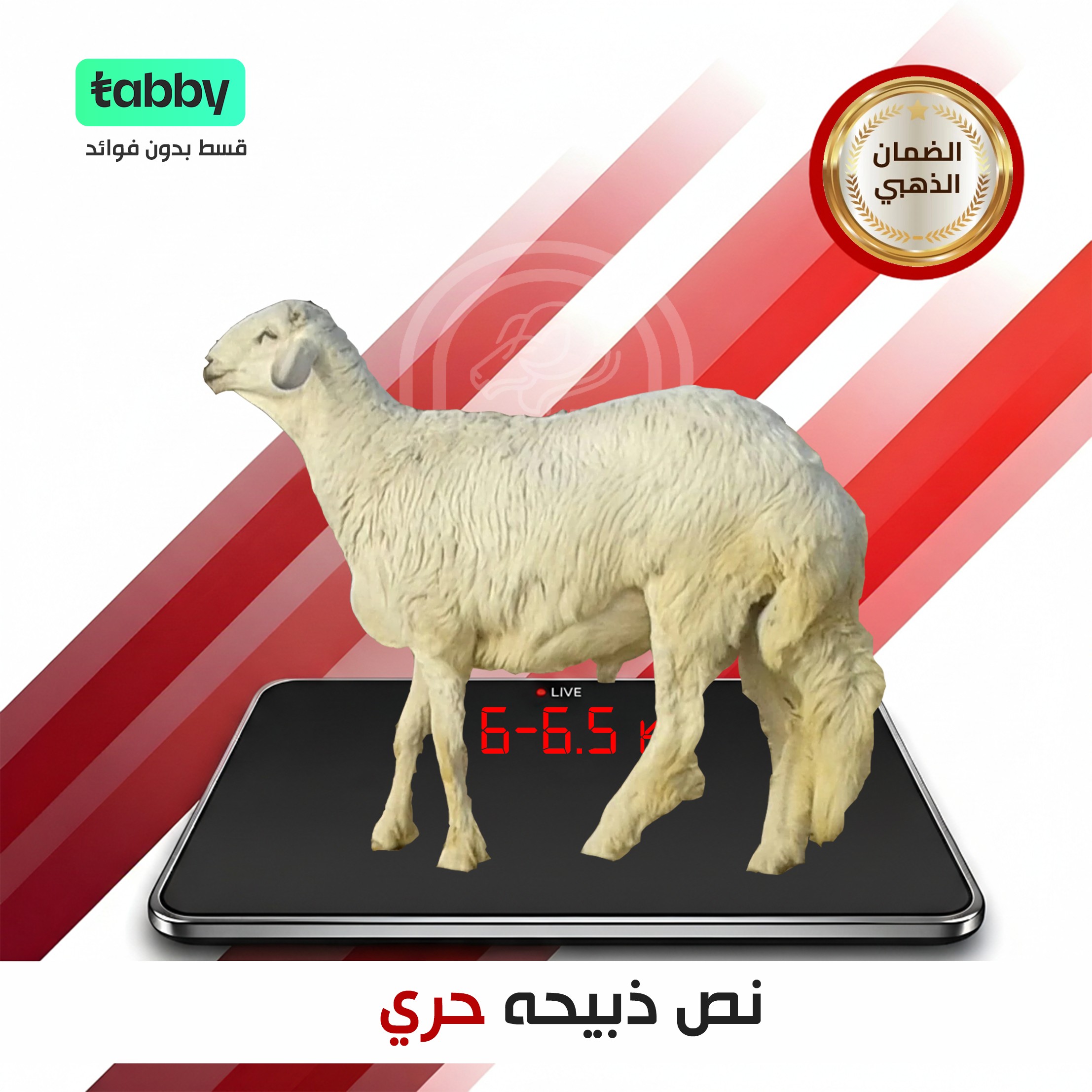 نصف حري 8 كيلو