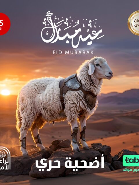 أضحية حري 35 كيلو