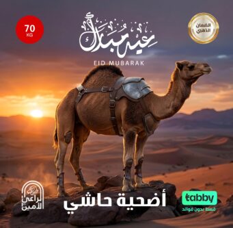 حاشى 70 كيلو
