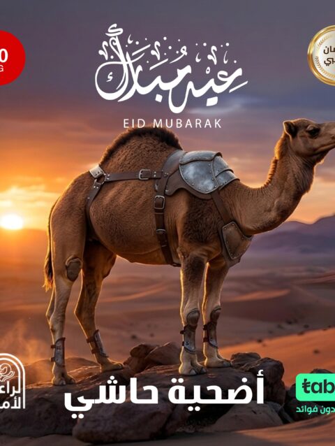حاشي 70 كيلو