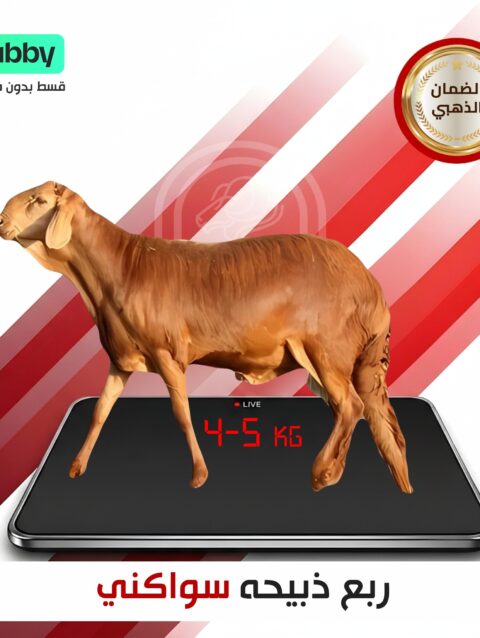 ربع ذبحية سواكني