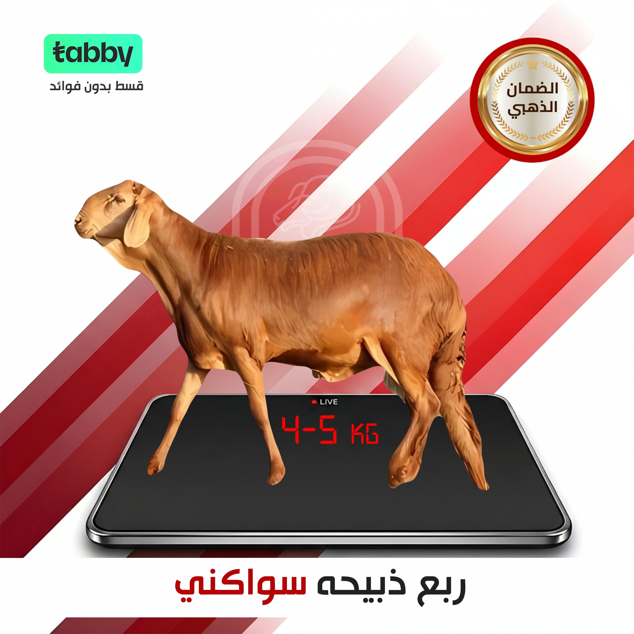 ربع ذبحية سواكني