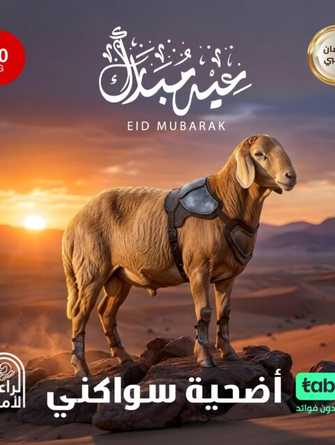 أضحية سواكني 30كيلو