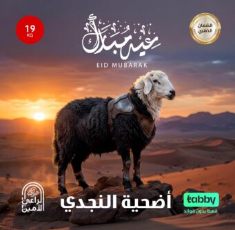 أضحية نجدى 19 كيلو