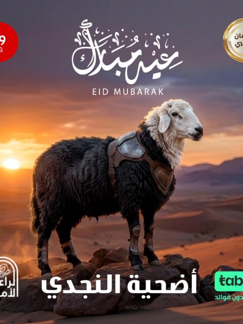 أضحية نجدي 19 كيلو