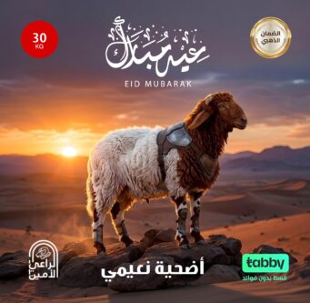 أضحية نعيمى 30 كيلو