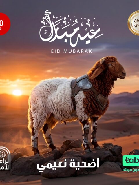 أضحية نعيمي 30 كيلو
