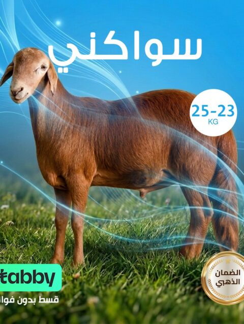 سواكني 25- 23 كيلو